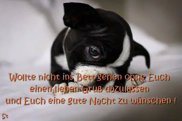 Condolence image of Unbekannt