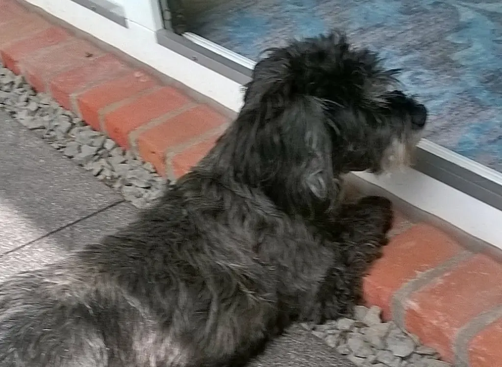 Condolence image of Unbekannt