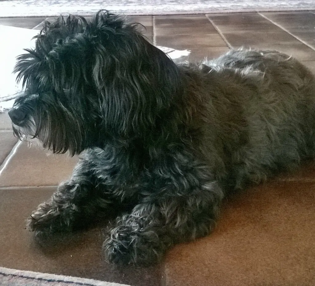 Condolence image of Unbekannt