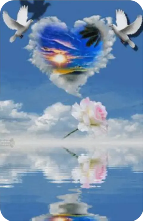 Condolence image of Ewa und Krzysztof mit Jacki tief im Herzen ❤