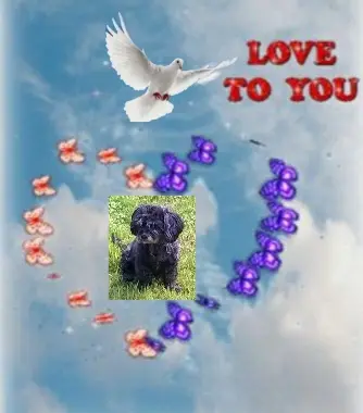 Condolence image of Ewa und Krzysztof mit Jacki tief im Herzen ❤