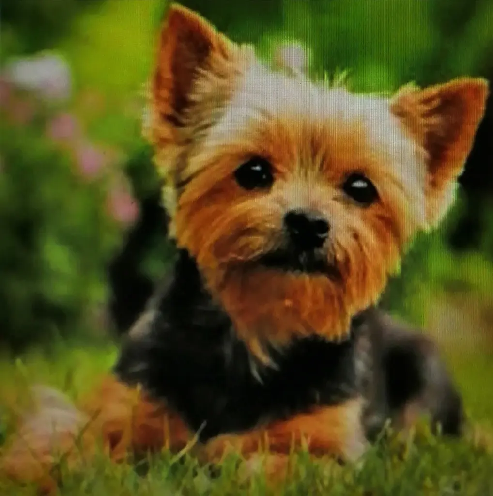 Condolence image of Unbekannt