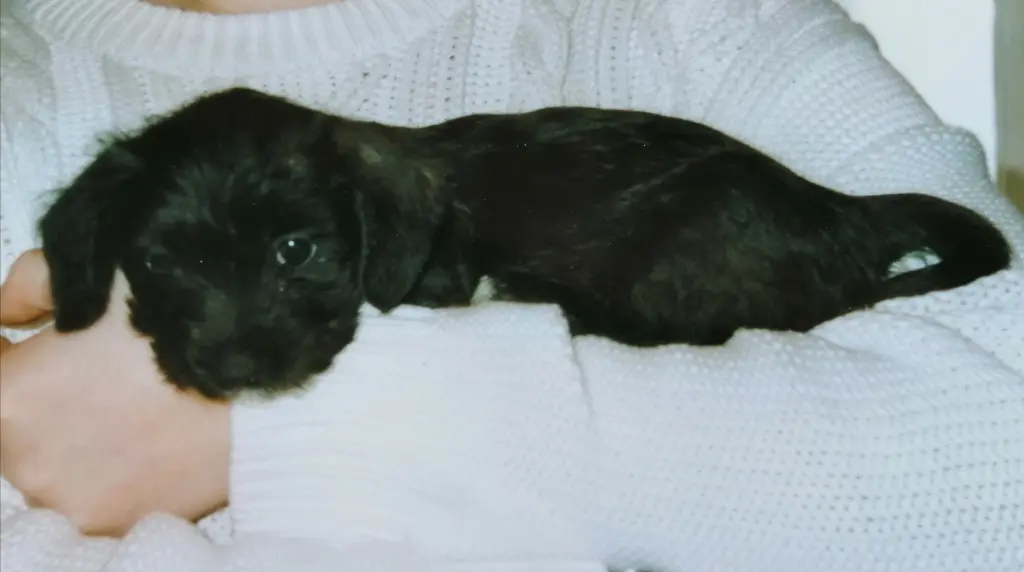 Condolence image of ❤️❤️❤️