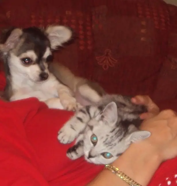 Condolence image of Ina Erberich