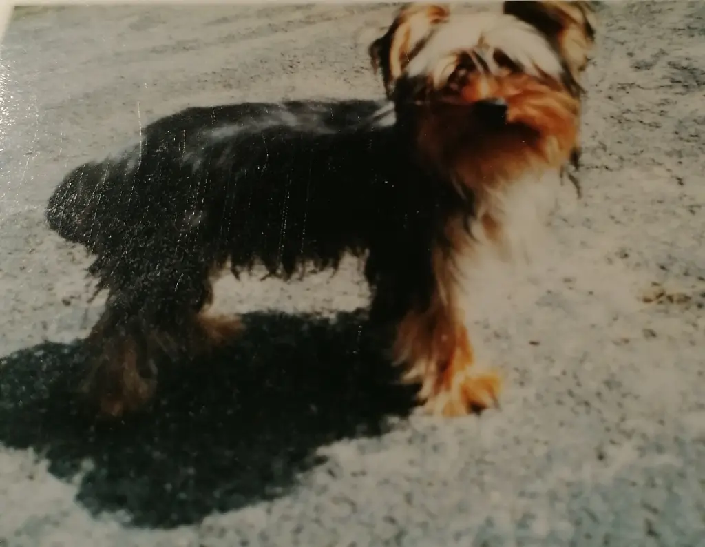 Condolence image of Unbekannt