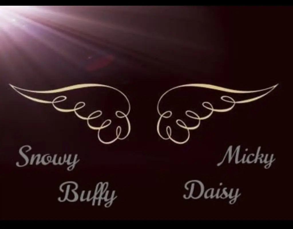 Condolence image of Unbekannt