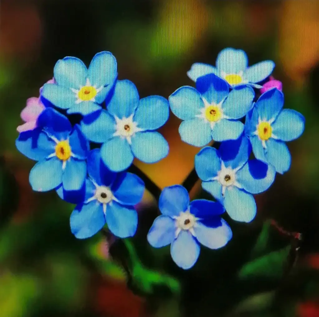 Condolence image of Unbekannt