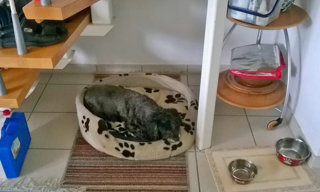 Condolence image of Fiby  ❤️