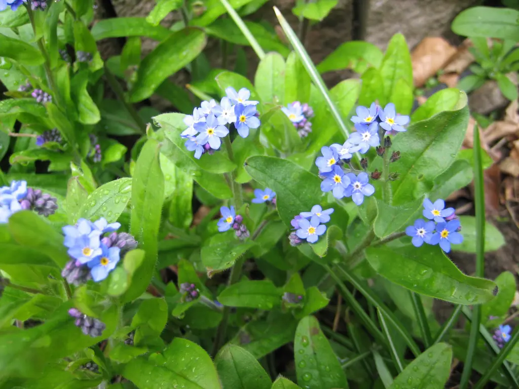 Condolence image of Gerda