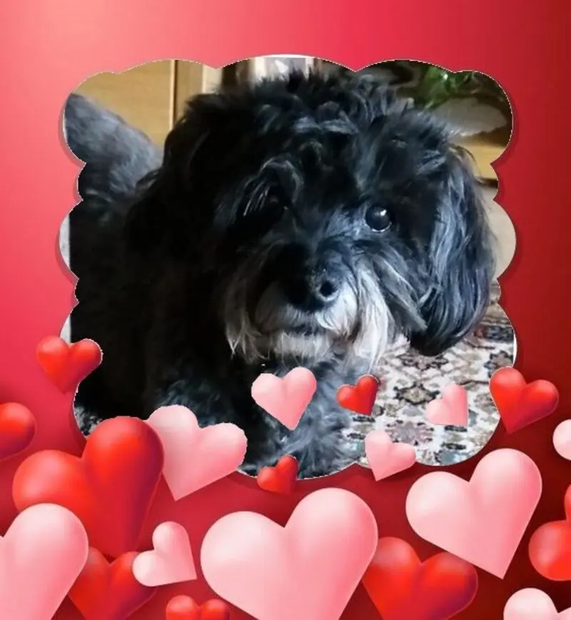 Condolence image of für Mami und Papi ❤️❤️