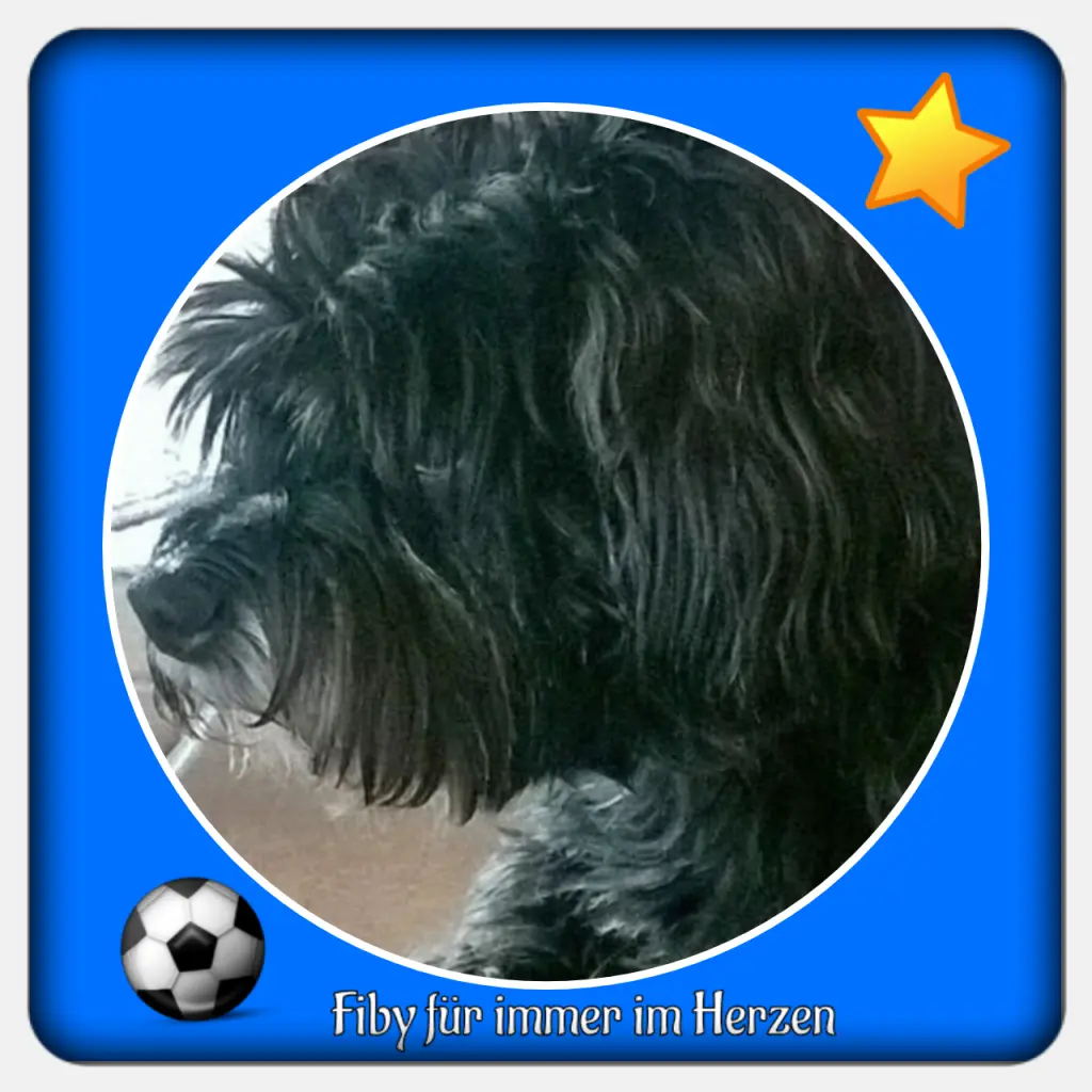 Condolence image of Martina mit Seelenhund Samy ♥️⭐♥️ für immer im Herzen