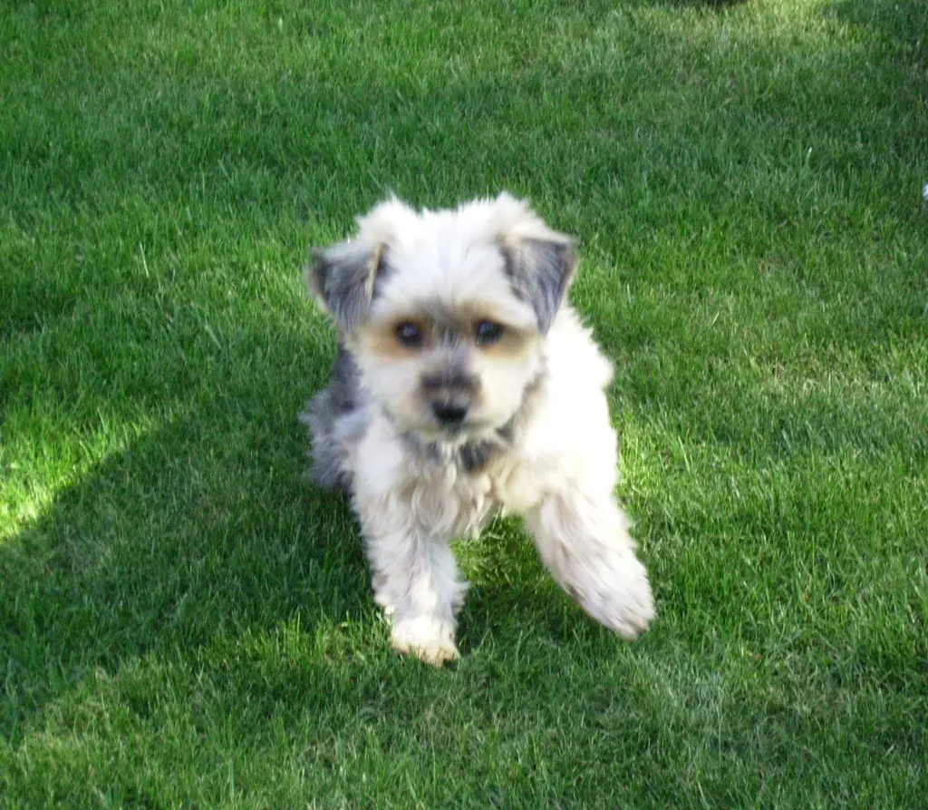 Condolence image of Unbekannt