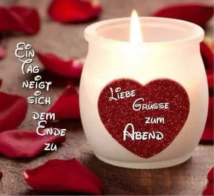 Condolence image of Martina mit Seelenhund Samy ♥️⭐♥️ für immer im Herzen 