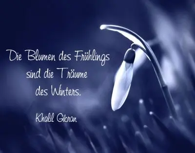 Condolence image of für Fiby und Tommy ❤️❤️