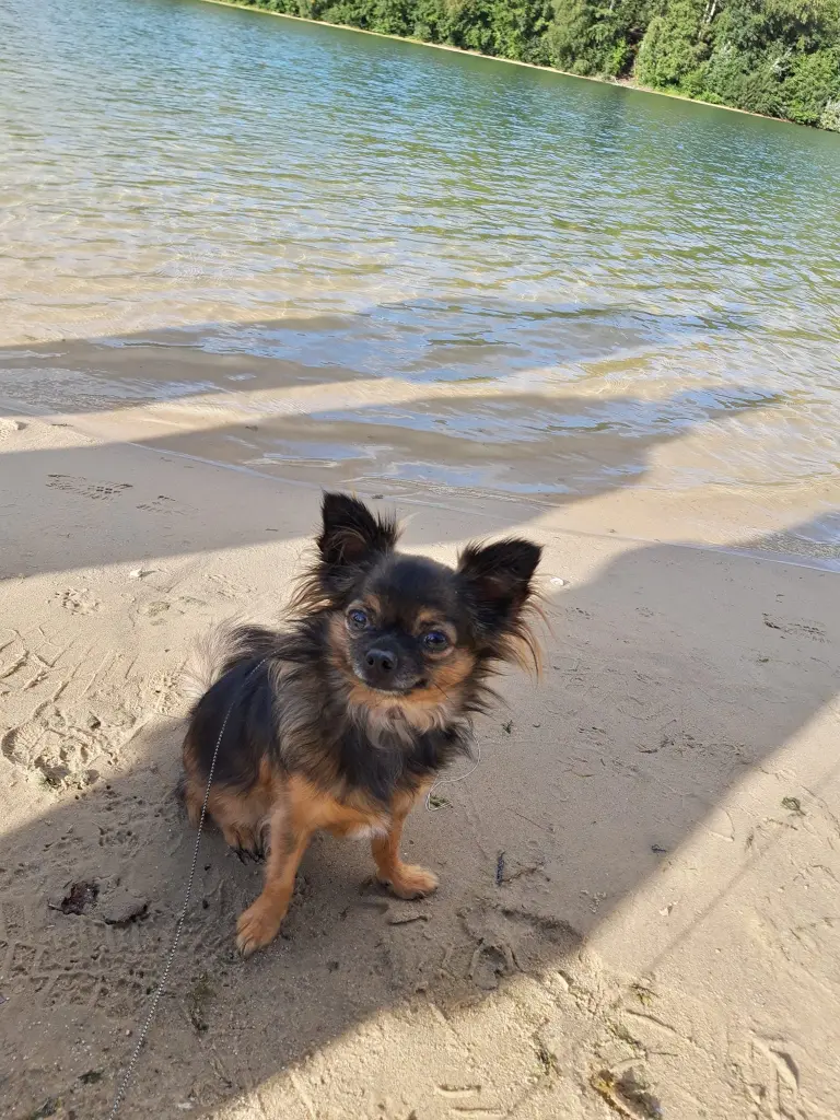 Condolence image of Kathrin