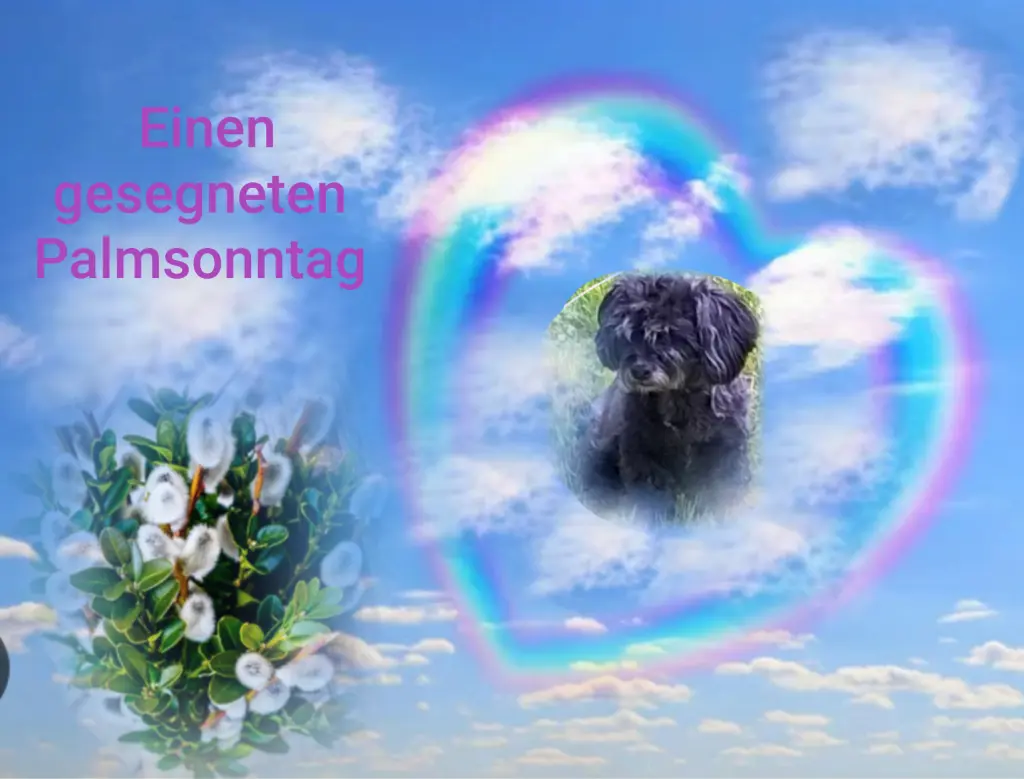 Condolence image of Ewa &Krzysztof mit Jacki tief im Herzen ❤