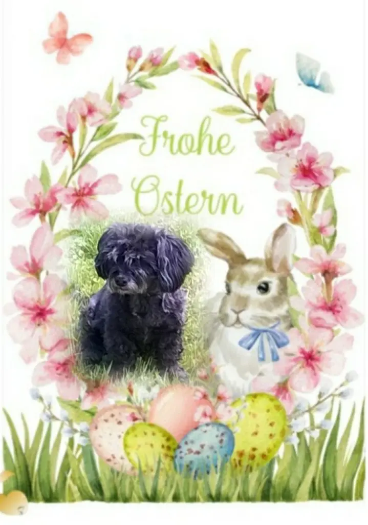 Condolence image of Ewa & Krzysztof mit Jacki tief im Herzen ❤