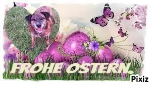 Condolence image of Gabi mit Max ❣️