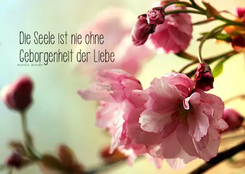 Condolence image of Unbekannt