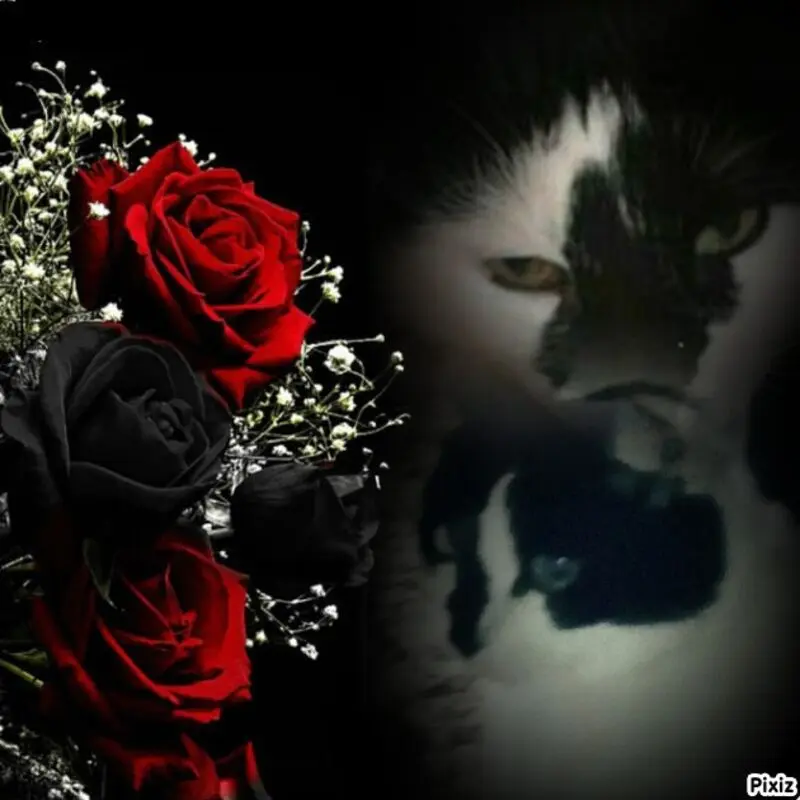 Condolence image of Annemarie und Elke mit Snoopy im Herzen gest.04.01.2022