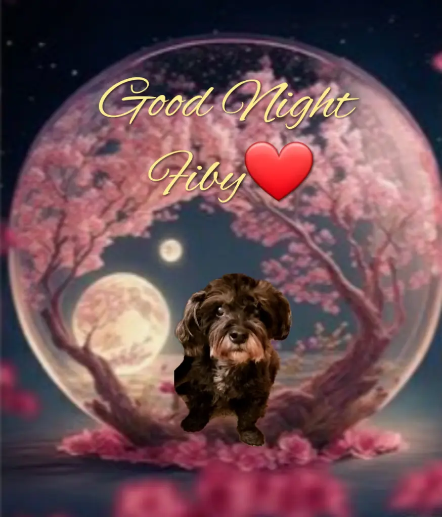 Condolence image of Ewa & Krzysztof mit Jacki tief im Herzen ❤