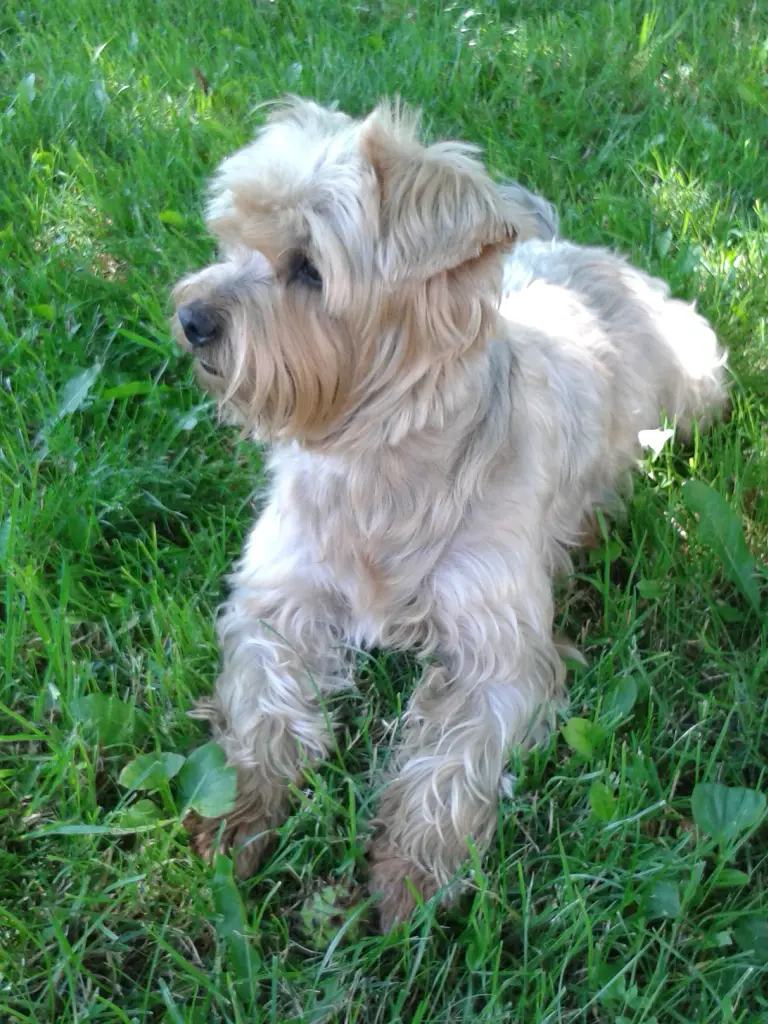 Condolence image of Ewa & Krzysztof mit Jacki tief im Herzen ❤