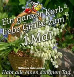 Condolence image of Ewa & Krzysztof mit Jacki tief im Herzen ❤