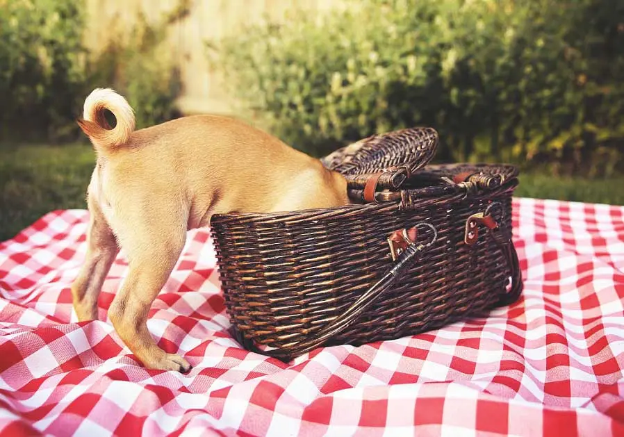 Condolence image of Fiby ❤️