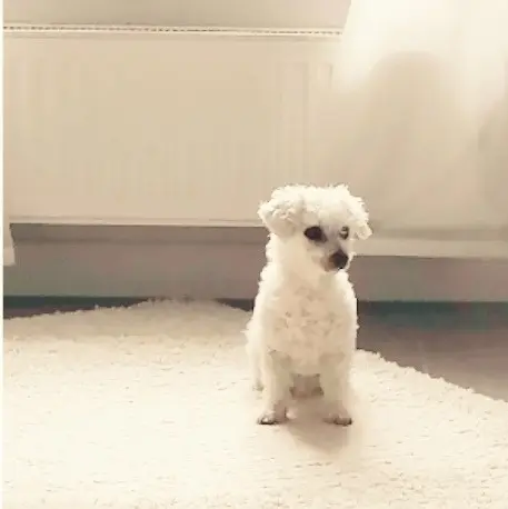 Condolence image of Unbekannt