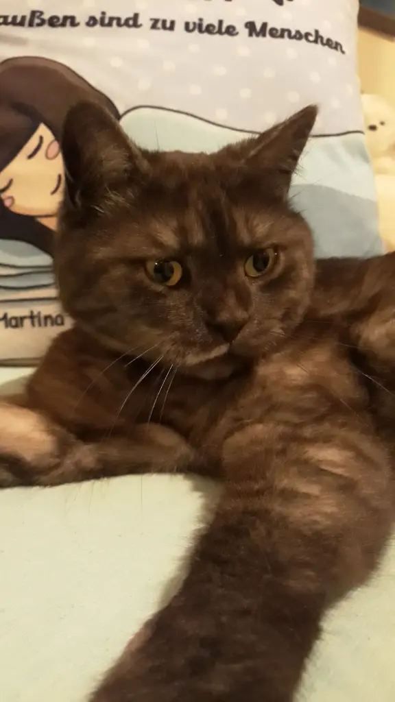 Condolence image of Von Tyson ♥️