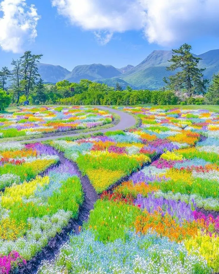 Condolence image of Von Tyson ♥️ für Elke ♥️ und Horst 