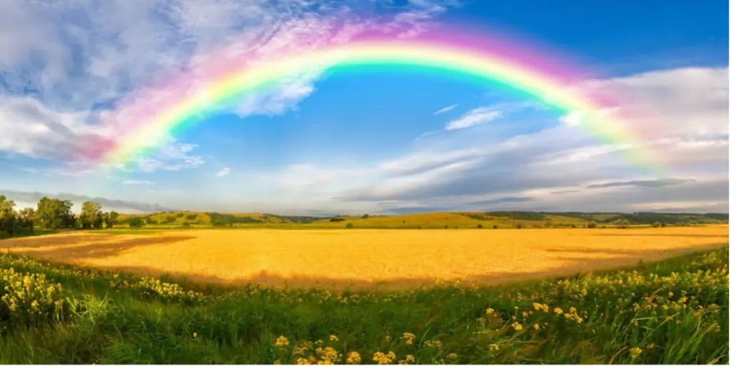 Condolence image of Ina Erberich