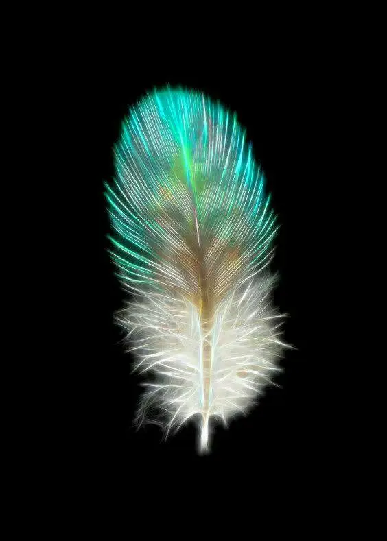 Condolence image of Martina mit Seelenhund Samy ♥️⭐♥️ für immer im Herzen