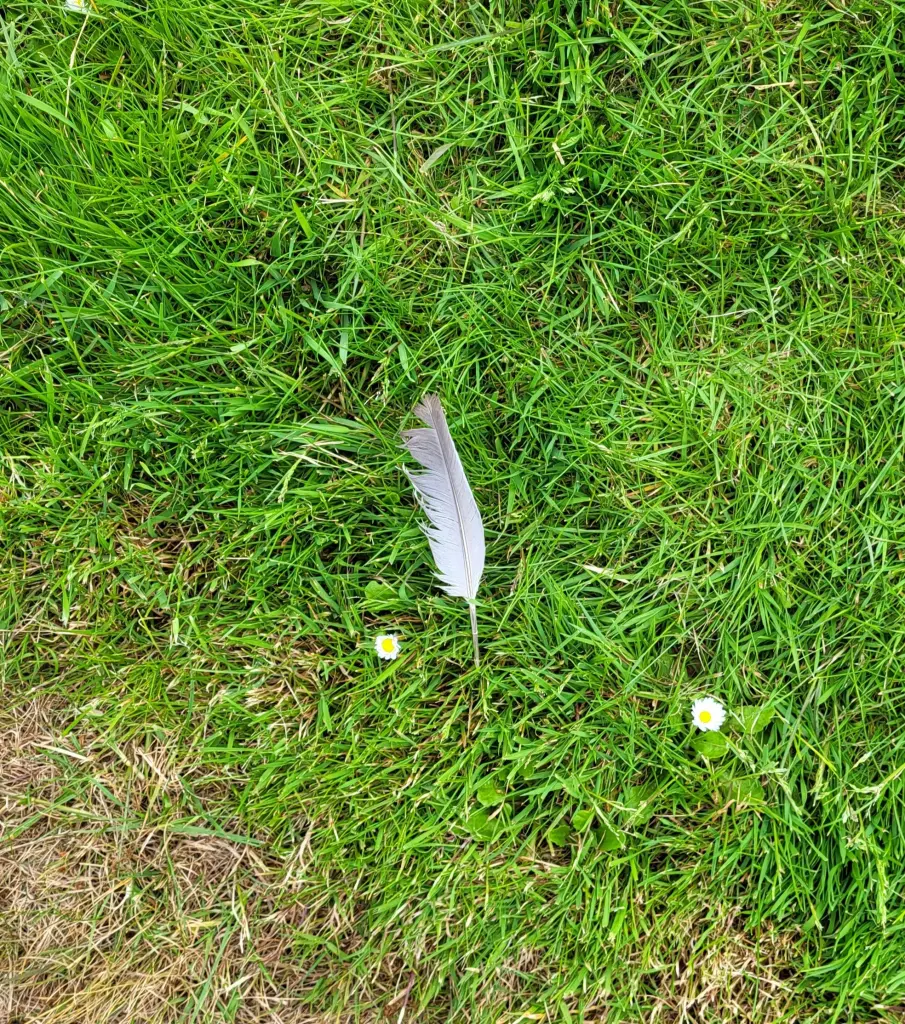 Condolence image of Mama und Papa ❤️❤️