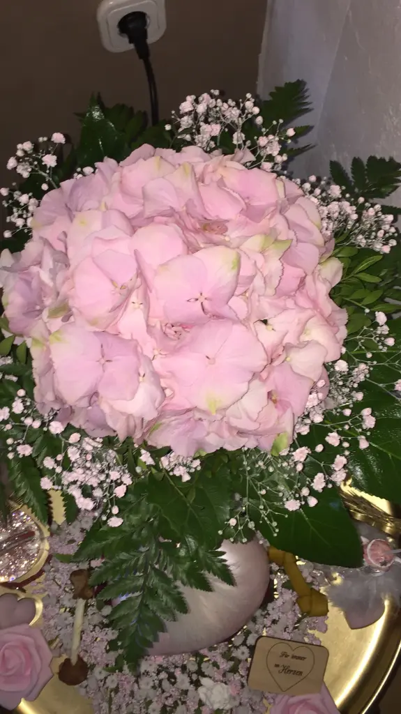 Condolence image of Für Fiby Elke und Horst 