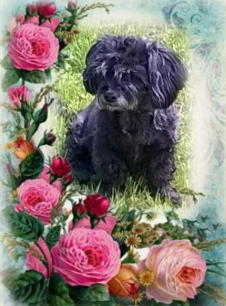 Condolence image of Für immer im Herzen ❤