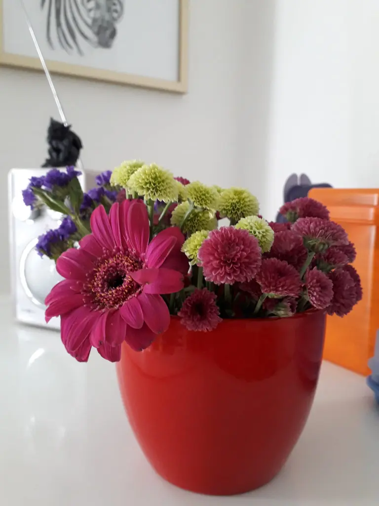 Condolence image of Regina mit Shila im Herzen ❤️ 