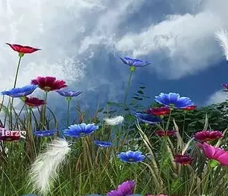 Condolence image of ❤️☘️❤️