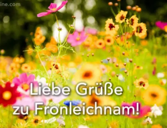 Condolence image of Ewa & Krzysztof mit Jacki tief im Herzen ❤