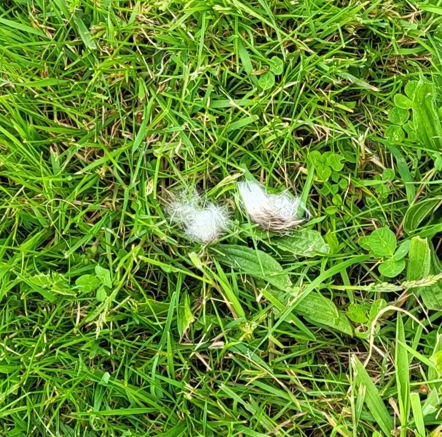 Condolence image of Unbekannt