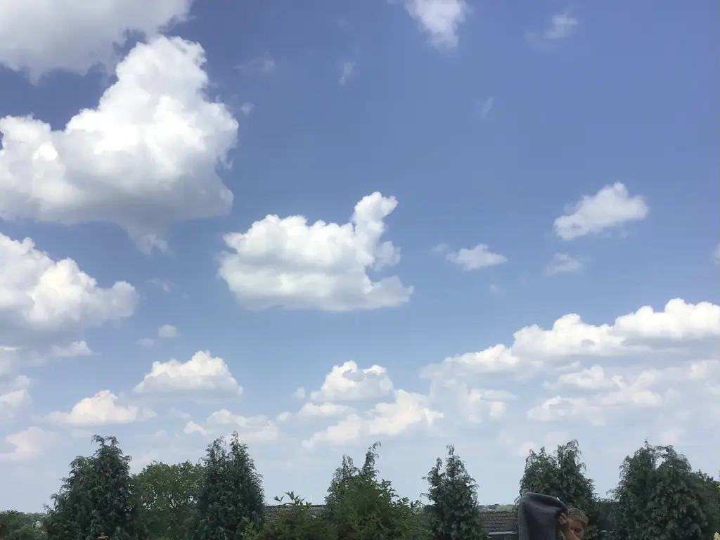 Condolence image of Luna