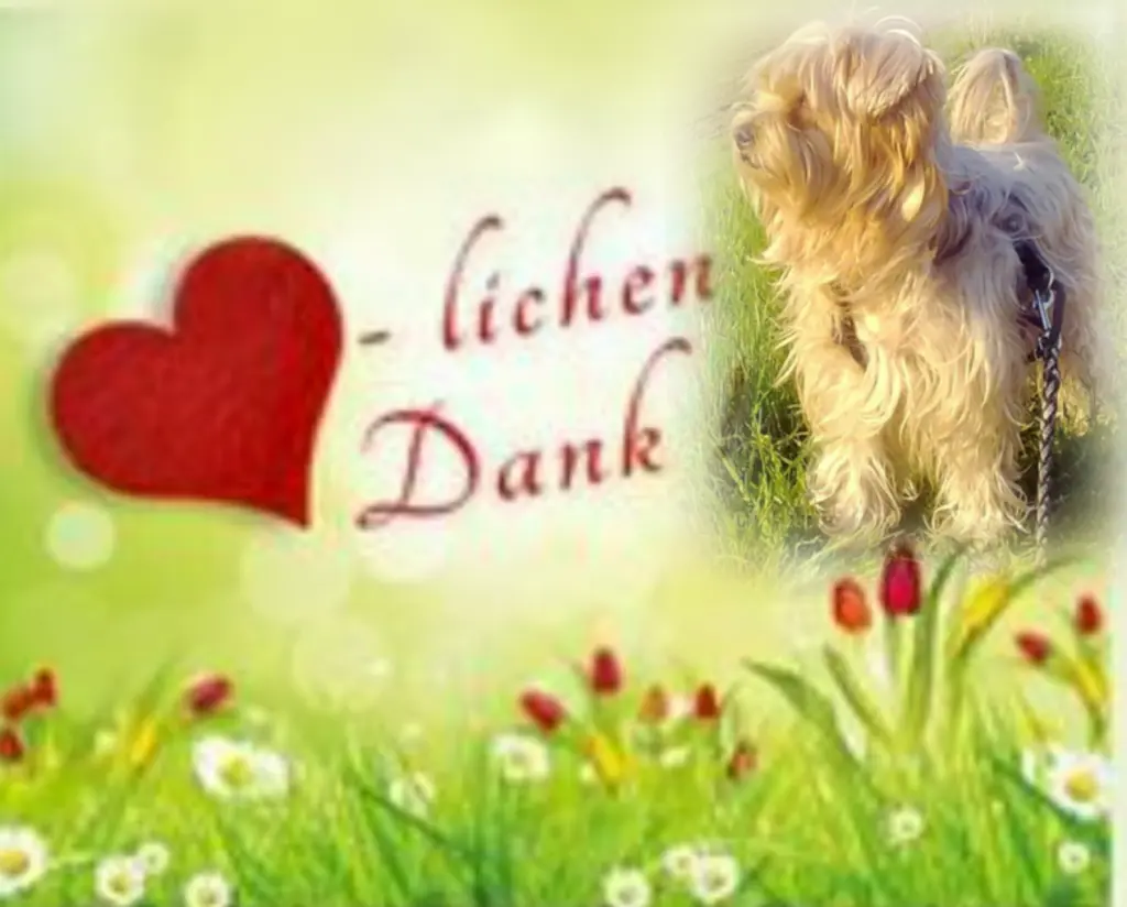 Condolence image of ❤