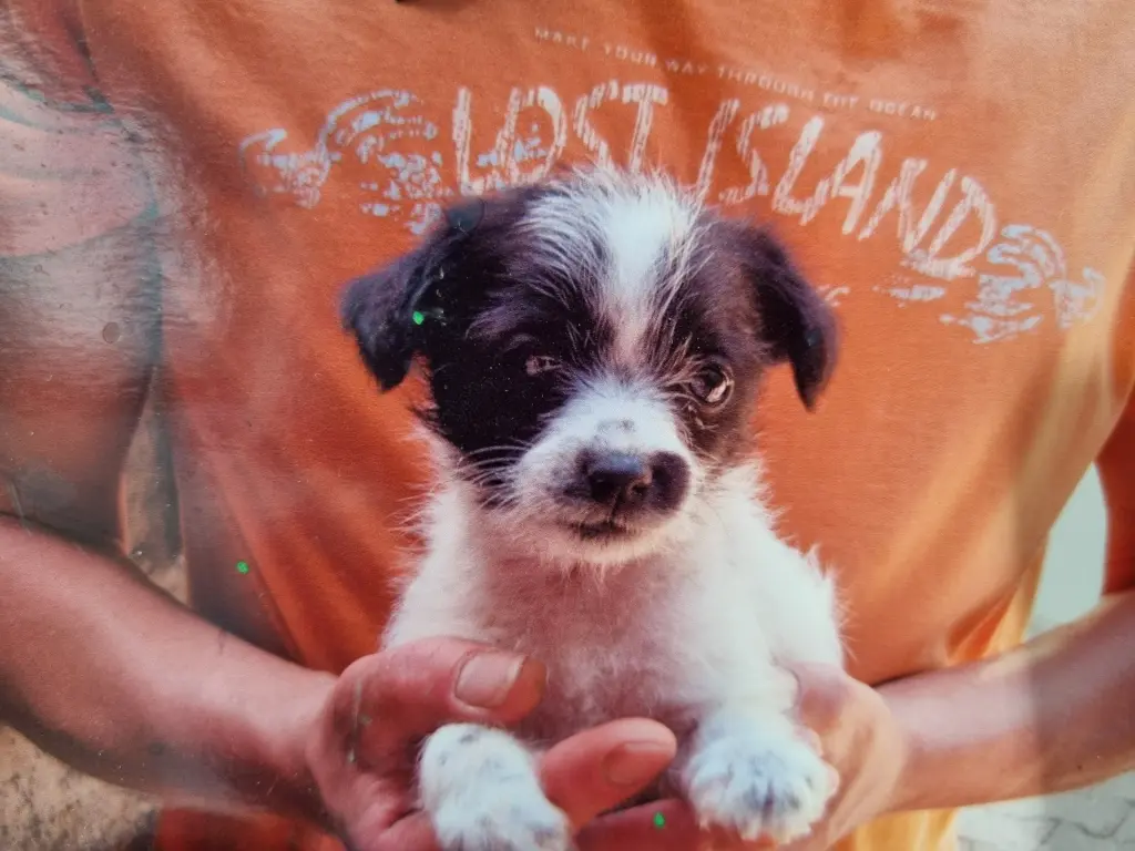 Condolence image of Regina mit Shila im Herzen ❤️ 