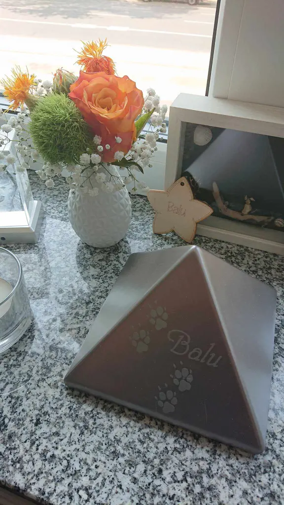 Condolence image of Ina Erberich