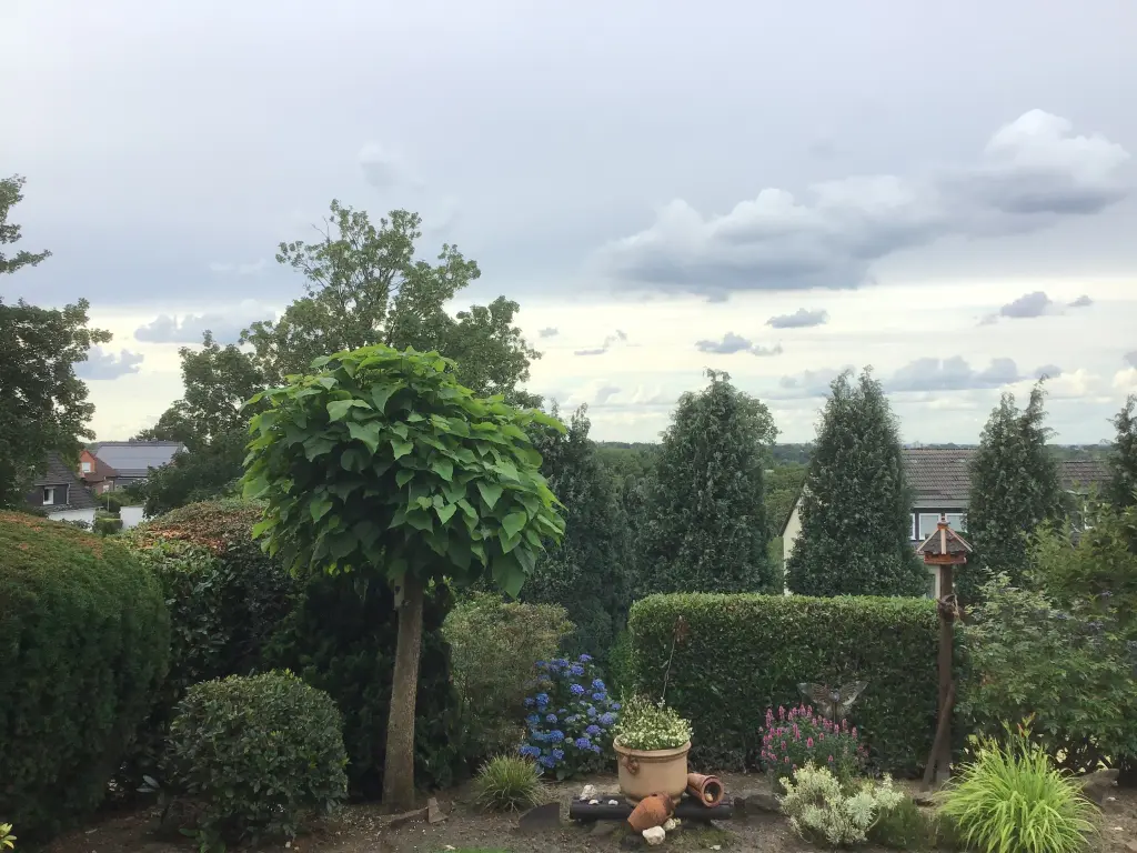 Condolence image of Angelika mit Luna im ❤️