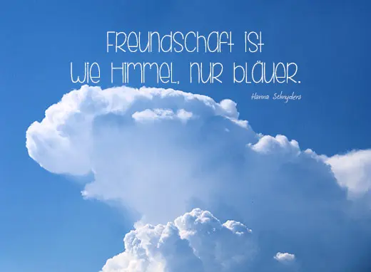 Condolence image of Fiby für Snowy ❤️