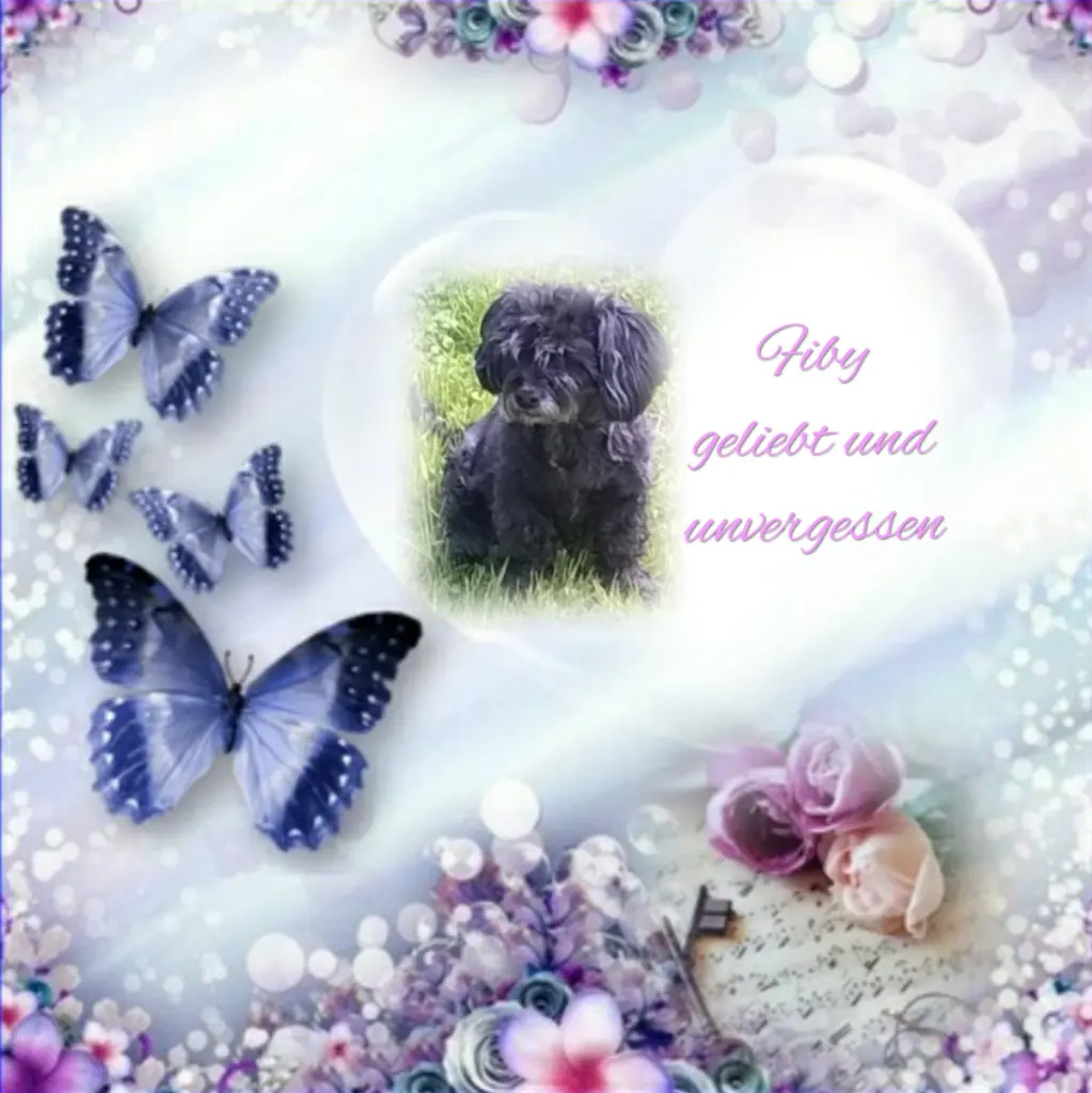 Condolence image of ❤