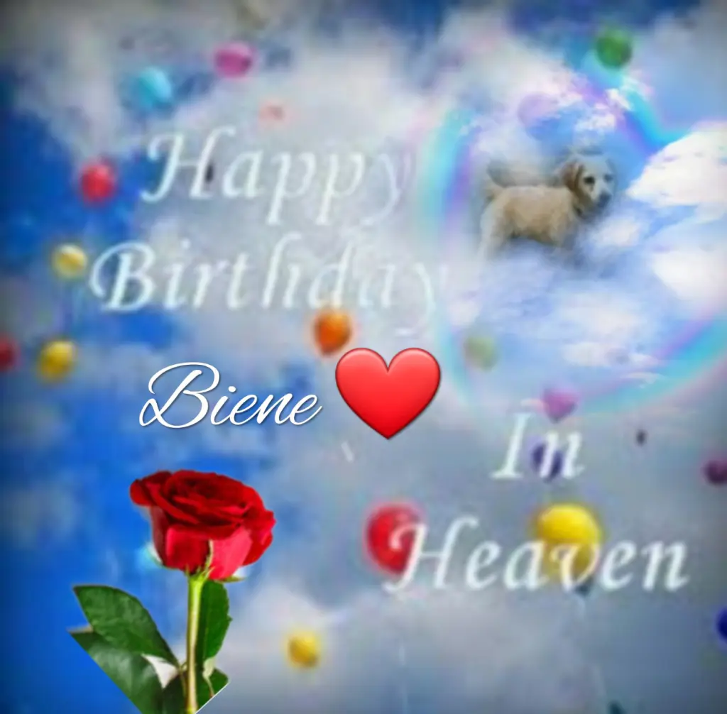 Condolence image of ❤