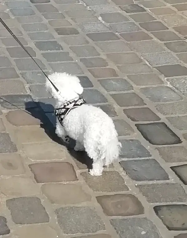 Condolence image of Unbekannt