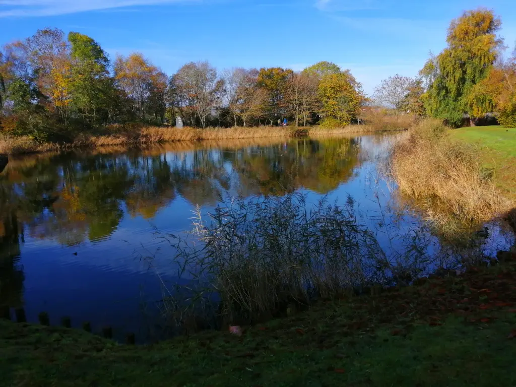 Condolence image of ❣️ WEEKEND ❣️